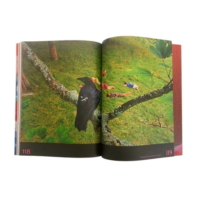InsideView 7