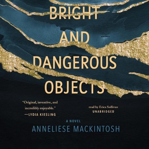 Bright and Dangerous Objects Lib/E - Anneliese Mackintosh