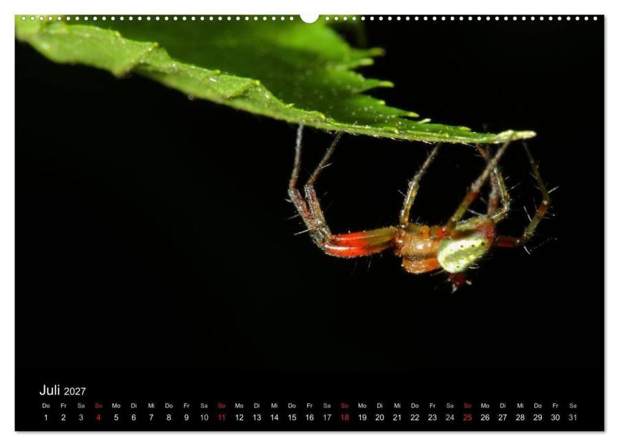InsideView 11