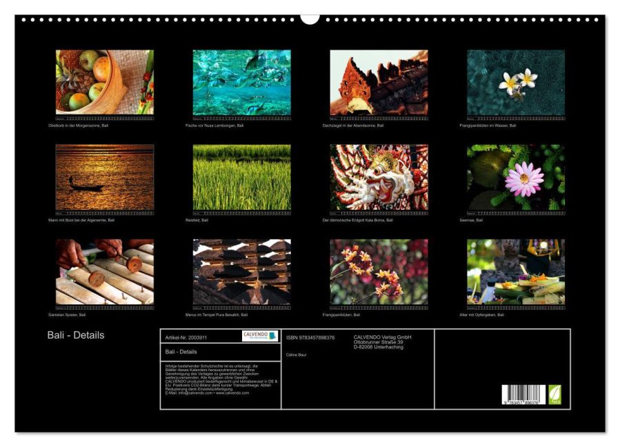 InsideView 5
