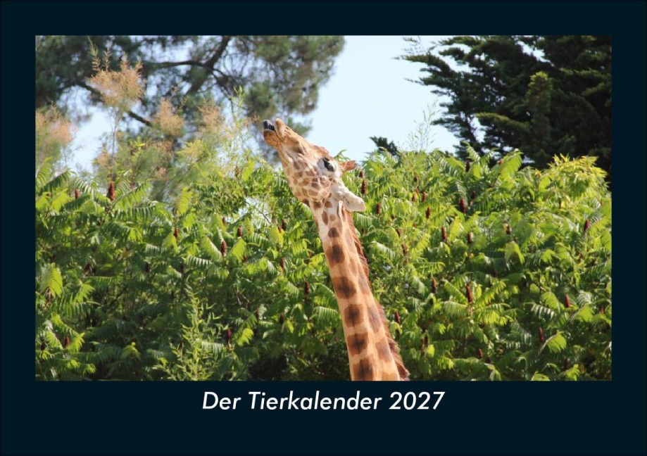 Der Tierkalender 2027 Fotokalender DIN A5 - Tobias Schmitt, Kevin Heber
