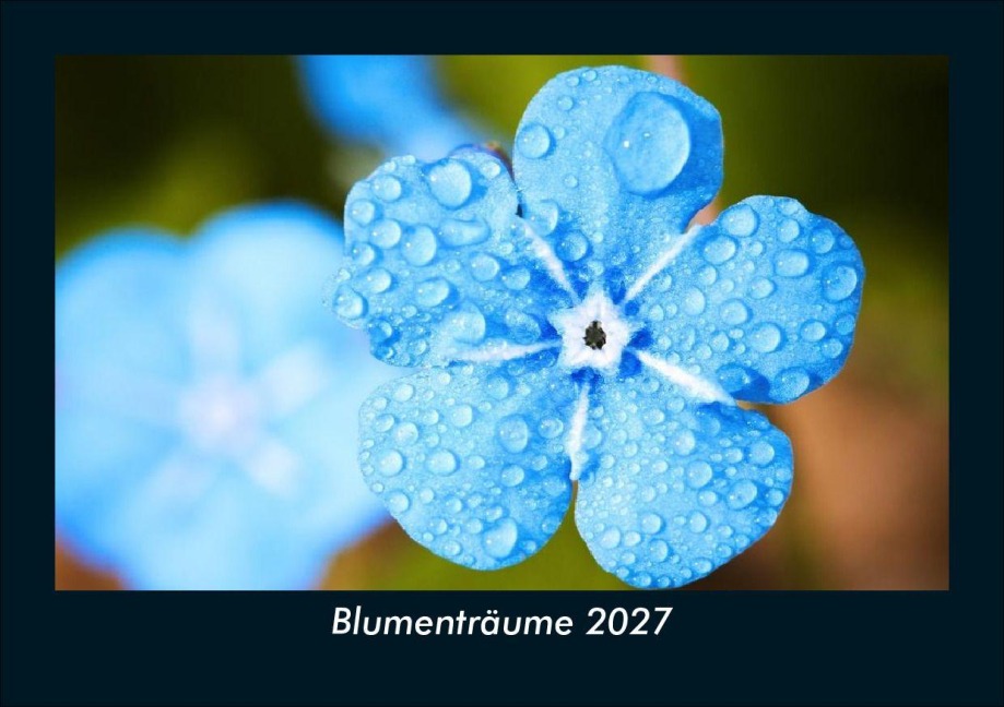 Blumenträume 2027 Fotokalender DIN A5 - Tobias Schmitt, Kevin Heber