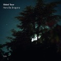 Cover-Bild zum Titel 'Here Be Dragons' von 'Oded Tzur'