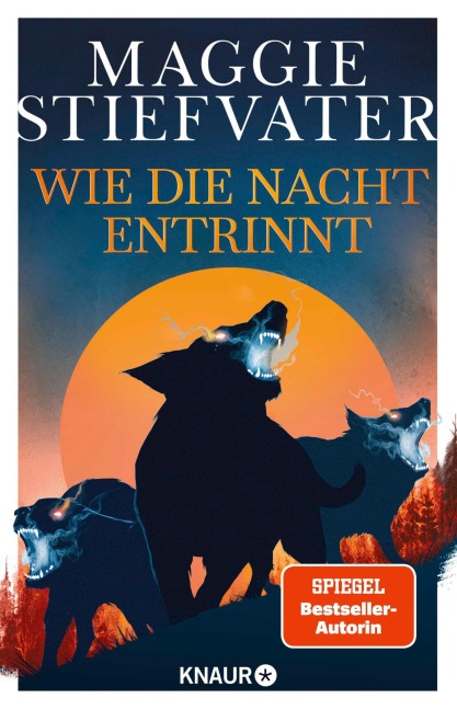 Wie die Nacht entrinnt - Maggie Stiefvater