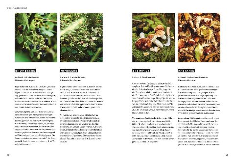 InsideView 4