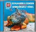 Was ist was Hörspiel-CD: Schlangen & Echsen/ Vögel - Manfred Baur
