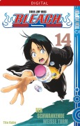 Cover-Bild zum Titel 'Bleach 14' von 'Tite Kubo'