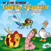 Cover-Bild zum Titel '25: Warum fliegen Libellen rückwärts?' von 'Klaus Brotmann'