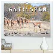 Antilopen, schön und schnell (hochwertiger Premium Wandkalender 2026 DIN A2 quer), Kunstdruck in Hochglanz - Robert Styppa