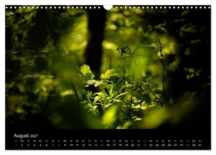 InsideView 13