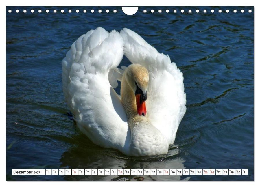 InsideView 4