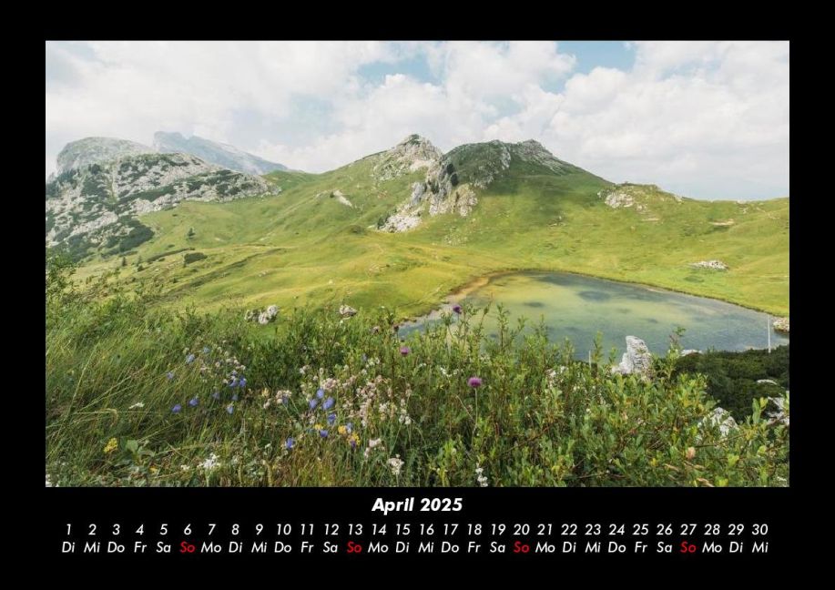 InsideView 8