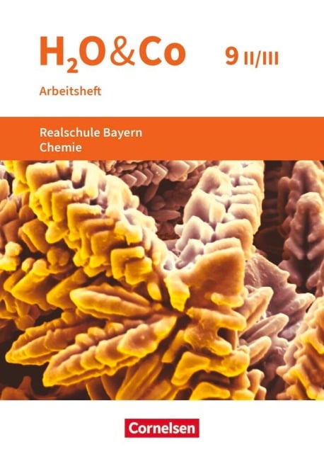 H2O & Co 9. Schuljahr - Wahlpflichtfächergruppe II-III - Realschule Bayern - Arbeitsheft mit Lösungen - Christian Eiblmeier, Petra Kring, Matthias Niedermeier, Peter Pfeifer, Frieda Pillat