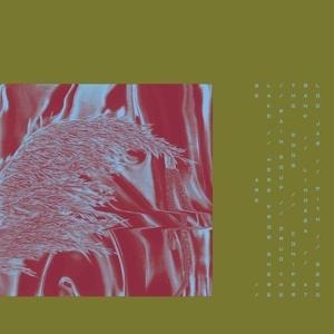 Here From Where We Are - Pariah