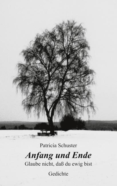 Anfang und Ende. Glaube nicht, daß du ewig bist. Gedichte - Patricia Schuster