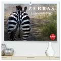 Zebras - Ungezähmte Kraft (hochwertiger Premium Wandkalender 2025 DIN A2 quer), Kunstdruck in Hochglanz - Elisabeth Stanzer