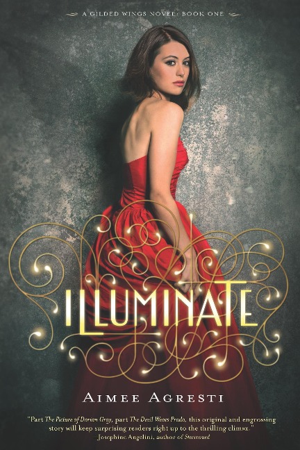 Illuminate - Aimee Agresti