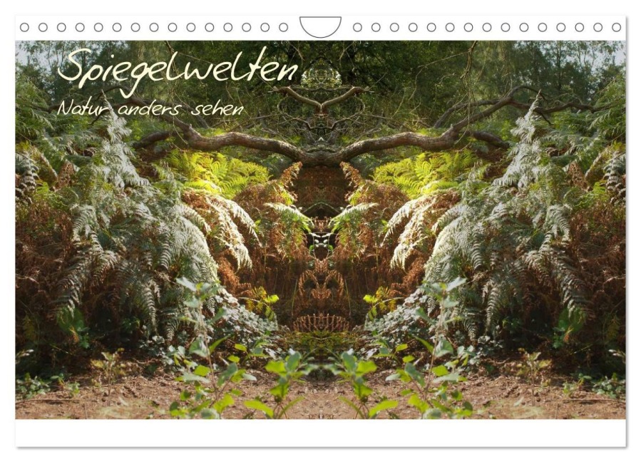 Spiegelwelten - Natur anders sehen (Wandkalender 2026 DIN A4 quer), CALVENDO Monatskalender - Katharina Hubner