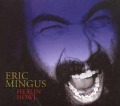Cover-Bild zum Titel 'Healin' Howl' von 'Eric Mingus'