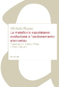 Cover-Bild zum Titel 'La metafonia napoletana: evoluzione e funzionamento sincronico' von 'Michela Russo'