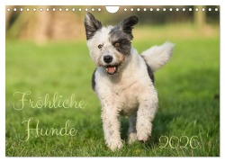 Fröhliche Hunde (Wandkalender 2026 DIN A4 quer), CALVENDO Monatskalender - Martina Fornal