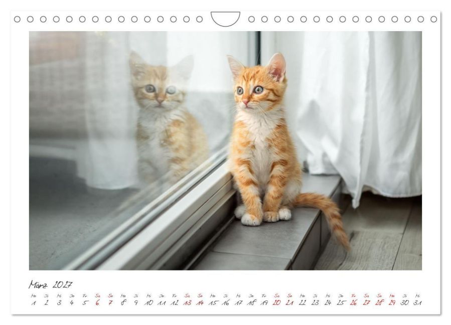 InsideView 8