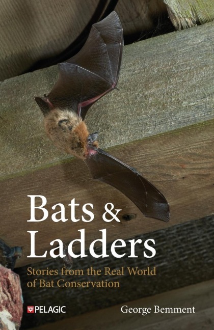 Bats & Ladders - George Bemment