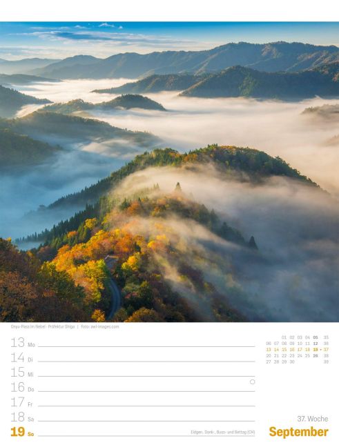 InsideView 41