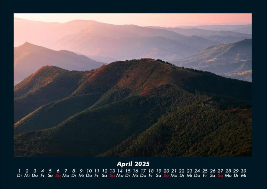 InsideView 8