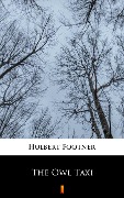 Cover-Bild zum Titel 'The Owl Taxi' von 'Hulbert Footner'