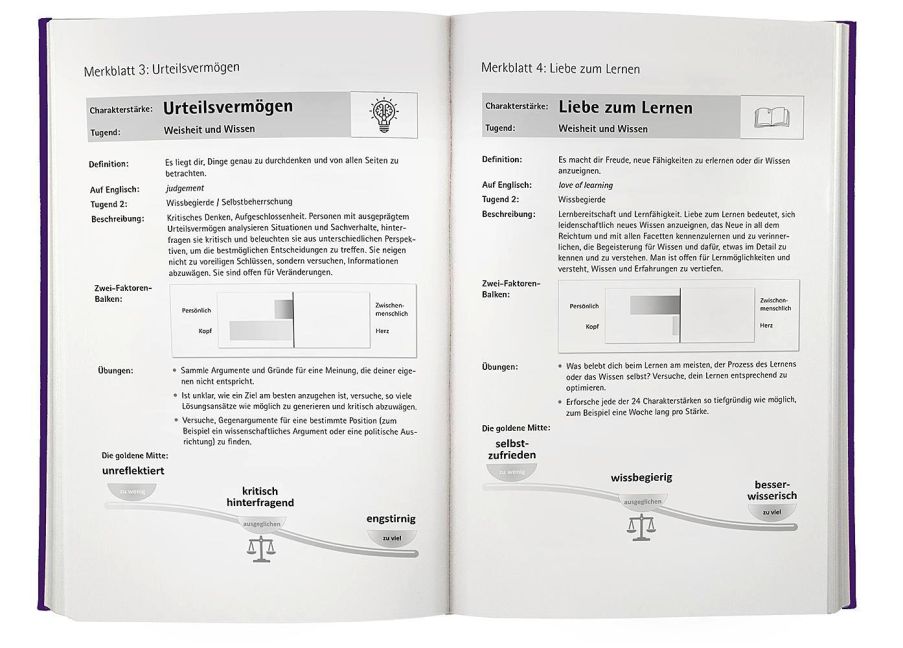 InsideView 6