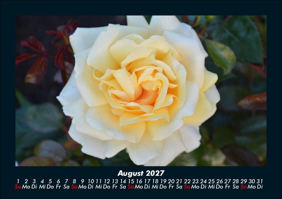 InsideView 12