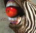 Cover-Bild zum Titel 'A-Z' von 'A-Z'