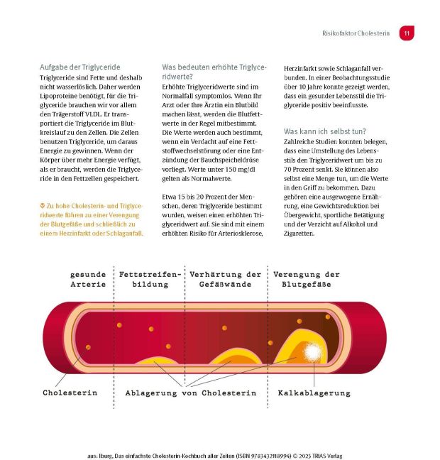 InsideView 6