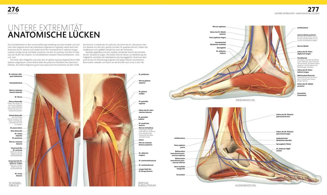 InsideView 4