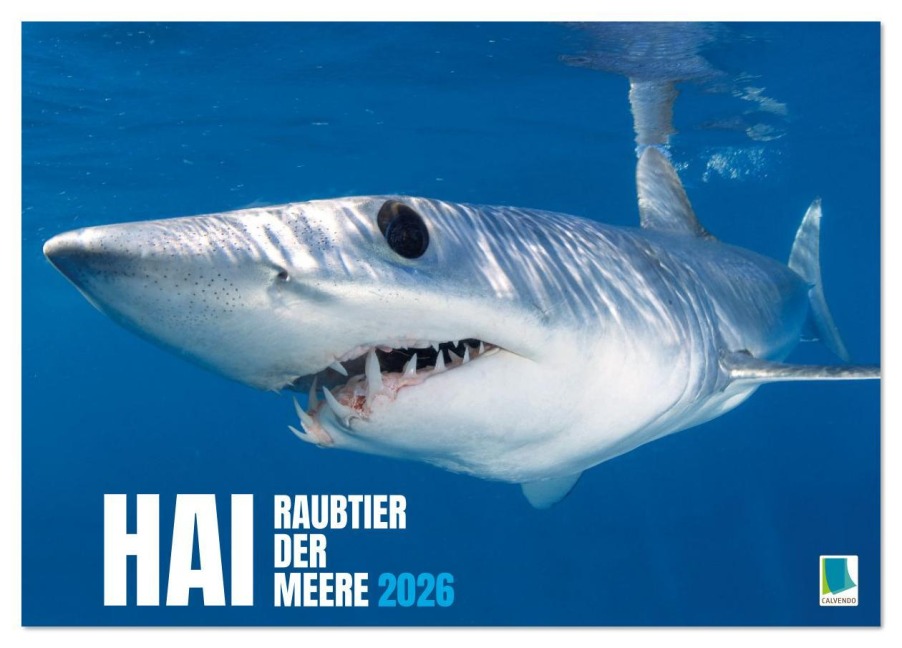 Hai: Raubtier der Meere (Tischkalender 2026 DIN A5 quer), CALVENDO Monatskalender - Calvendo Calvendo
