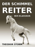 Cover-Bild zum Titel 'Der Schimmelreiter' von 'Theodor Storm'