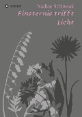 Cover-Bild zum Titel 'Finsternis trifft Licht' von 'Nadine Schiwnak'