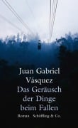 Cover-Bild zum Titel 'Das Geräusch der Dinge beim Fallen' von 'Juan Gabriel Vásquez'