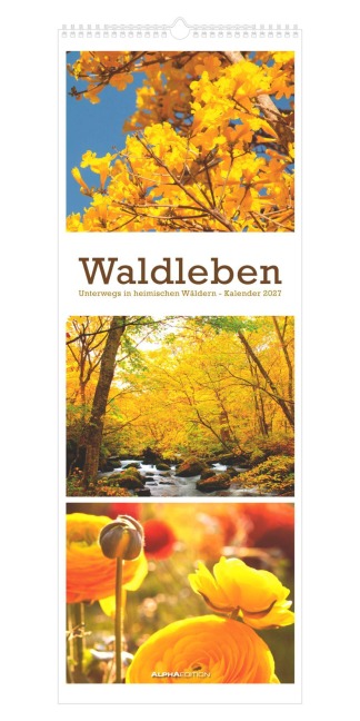 Waldleben - Triplets 2027 - 