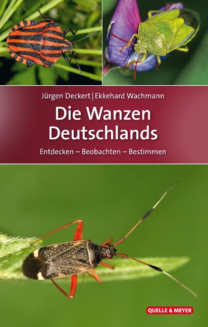Die Wanzen Deutschlands - Jürgen Deckert, Ekkehard Wachmann