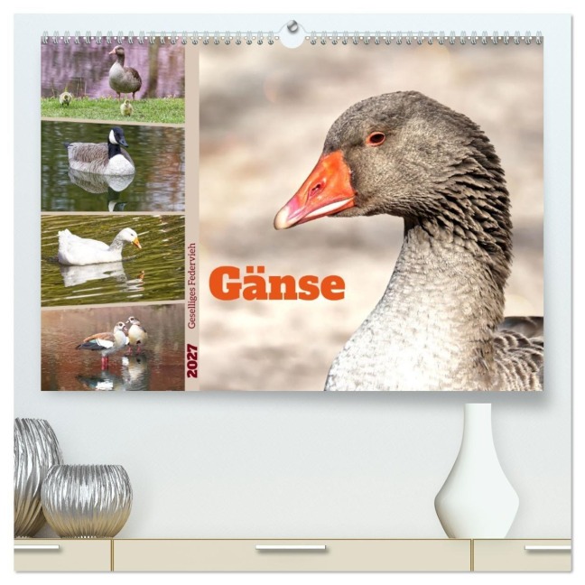 Gänse, geselliges Federvieh (hochwertiger Premium Wandkalender 2027 DIN A2 quer), Kunstdruck in Hochglanz - Sabine Löwer