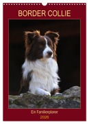 Cover-Bild zum Titel 'Border Collie - Ein Familienplaner (Wandkalender 2026 DIN A3 hoch), CALVENDO Monatskalender' von 'Sigrid Starick'