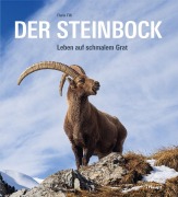 Cover-Bild zum Titel 'Der Steinbock' von 'Flurin Filli'