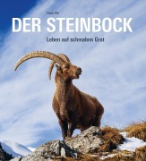 Cover-Bild zum Titel 'Der Steinbock' von 'Flurin Filli'