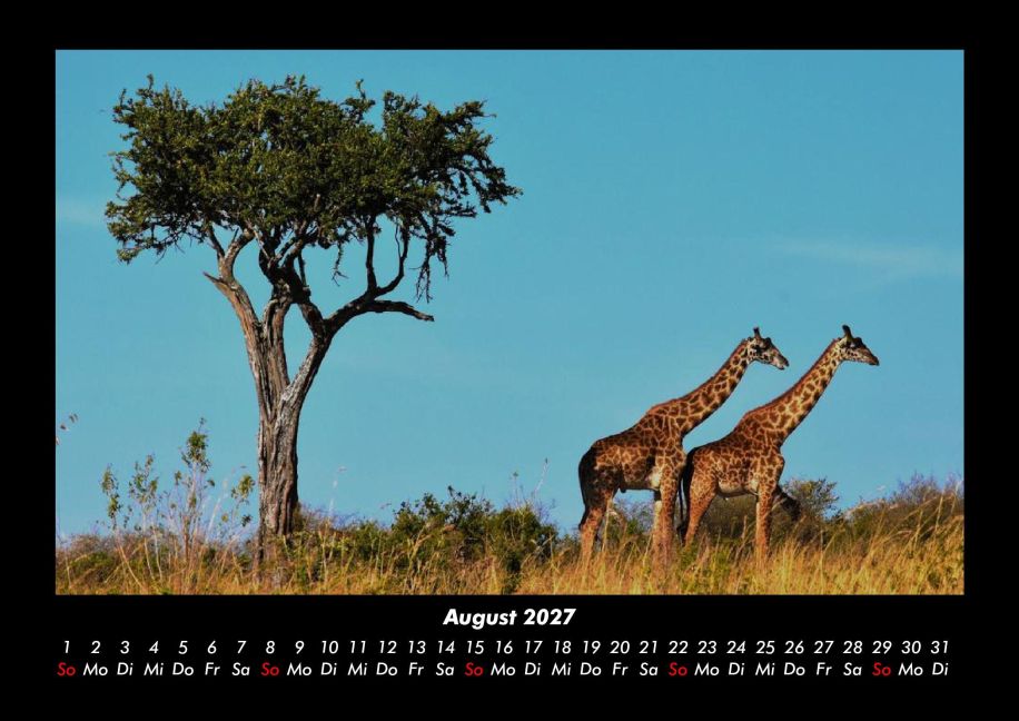 InsideView 12