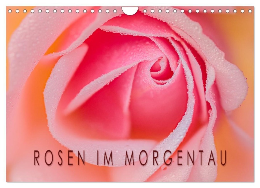Rosen im Morgentau (Wandkalender 2026 DIN A4 quer), CALVENDO Monatskalender - Beatrix Peek