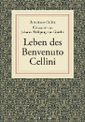 Cover-Bild zum Titel 'Leben des Benvenuto Cellini' von 'Benvenuto Cellini'