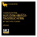 Cover-Bild zum Titel 'Aus den Kriegstagebüchern' von 'Theodor Fontane'