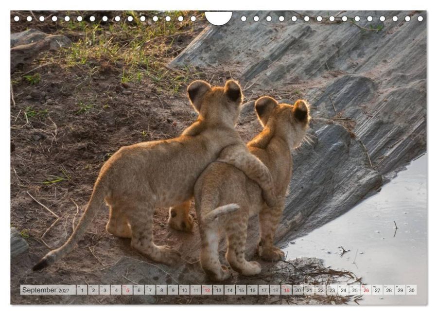InsideView 14